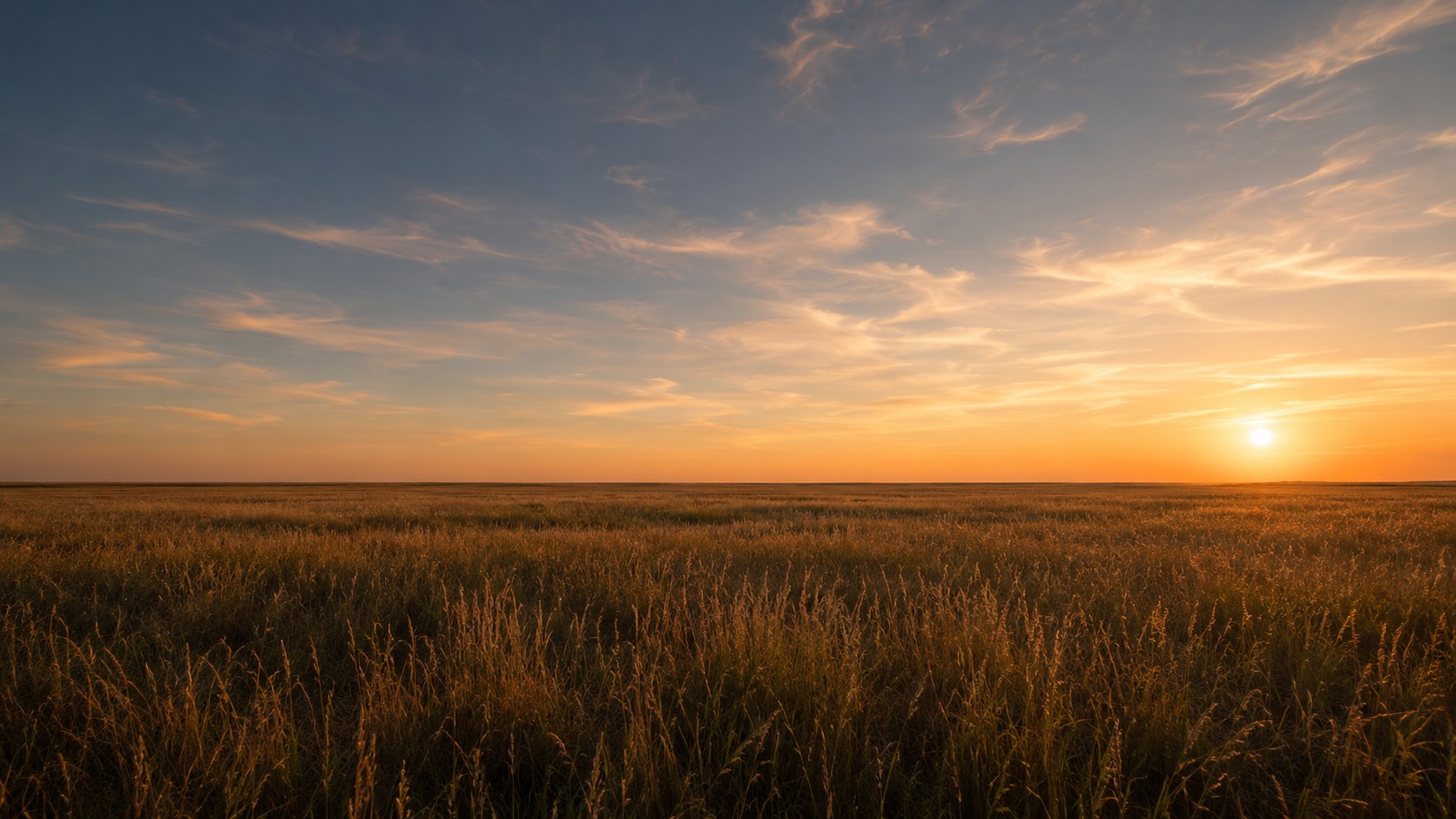 South Dakota tall-grass prairie stretching to the horizon at golden hour